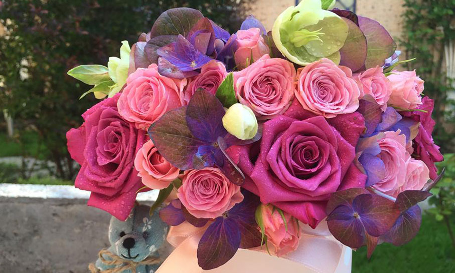 Portofoliu - Bine ai venit pe lume 1