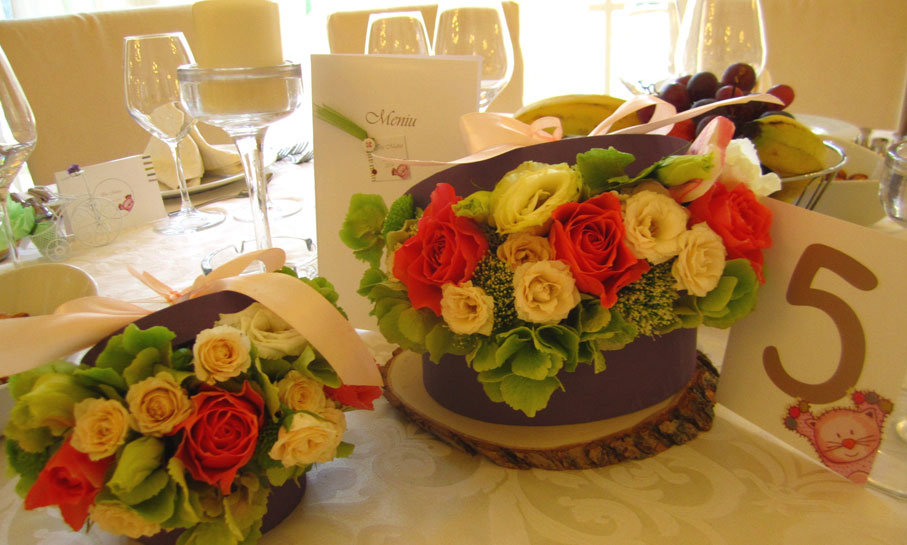 Portofoliu - Bine ai venit pe lume 4