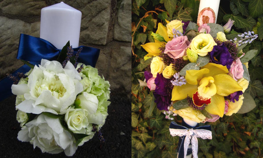 Portofoliu - Bine ai venit pe lume 15