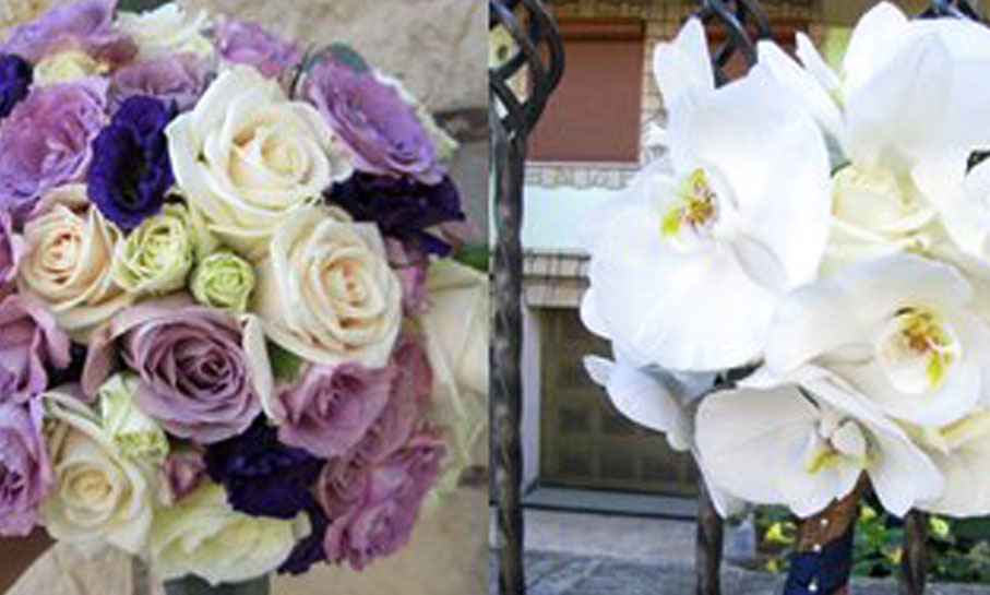 Portofoliu - O zi frumoasa din viata noastra 31