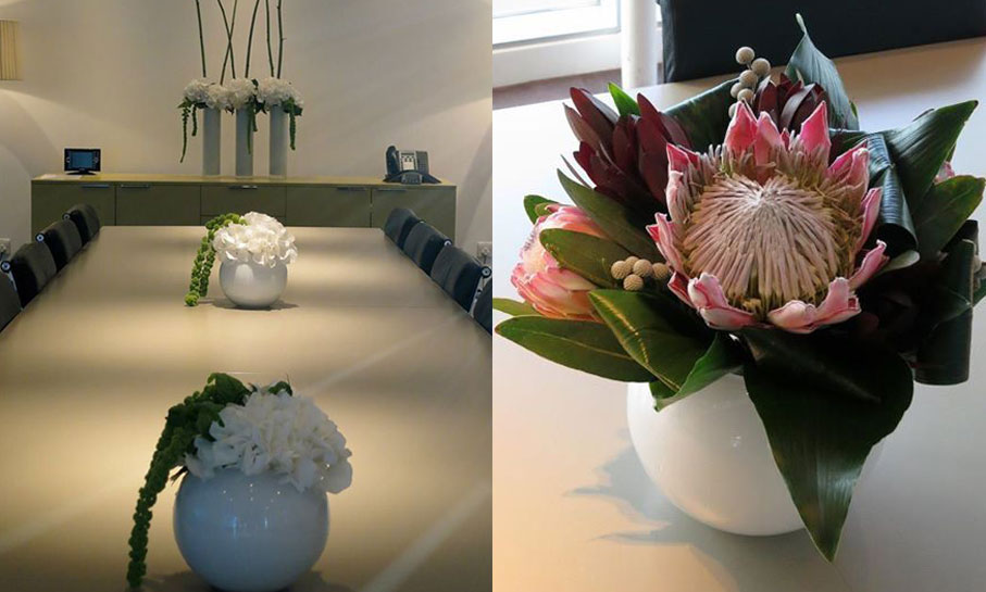 Portofoliu - Corporate 1